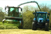 index-silage.html